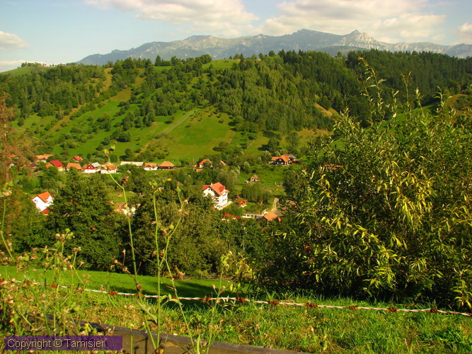 2008-09-01 16-00-32.JPG - 2008-RO>Ri Rucar